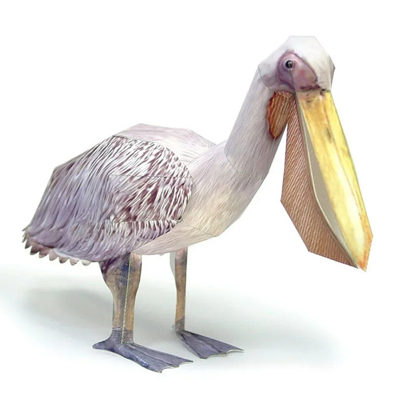 Great White Pelican Bird กระดา - Art Craft Cardboard บทวิจารณ์และราคา